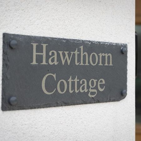 Hawthorn Cottage Tenby Extérieur photo